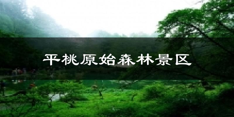 平桃原始森林景区天气预报十五天