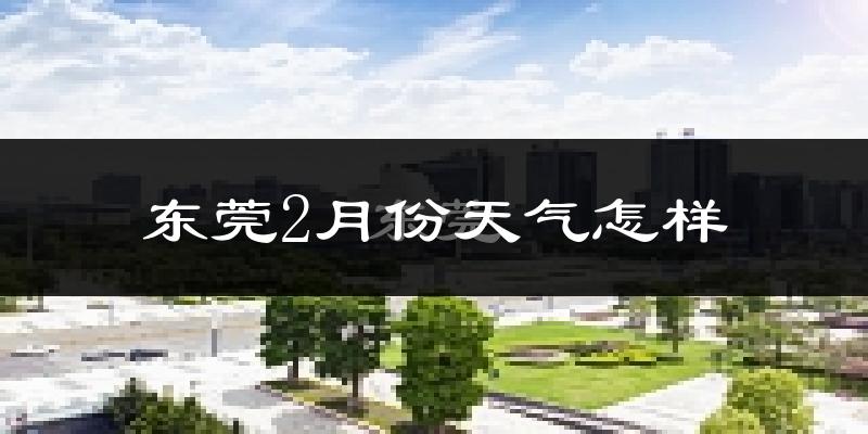 东莞2月份天气如何?冷吗?过去两年2月天气数据分析