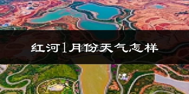 红河县1月份天气如何?天气冷吗?
