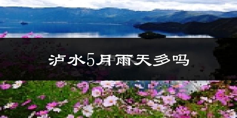 泸水5月雨天多吗?