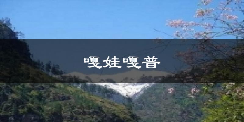 嘎娃嘎普天气预报十五天