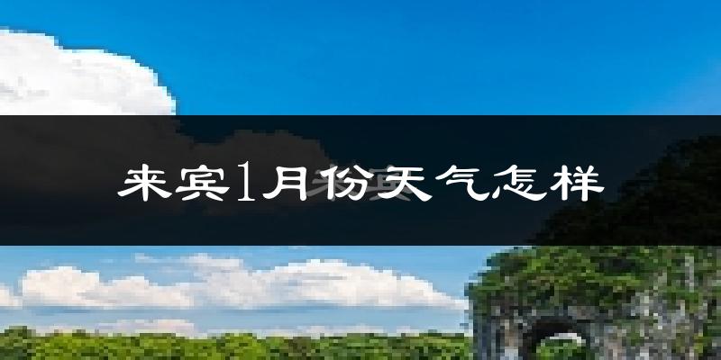 来宾市1月份天气如何?很冷吗?