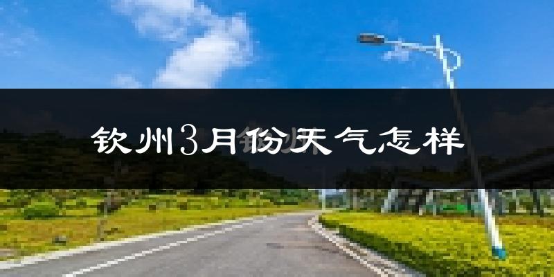 钦州3月份天气如何?冷热变化大吗?