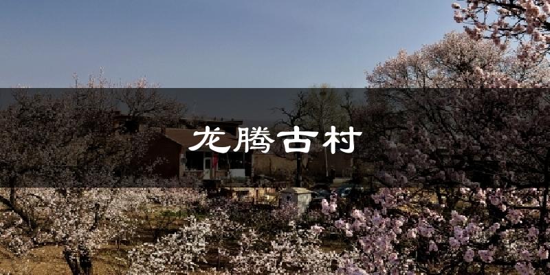 龙腾古村天气预报十五天